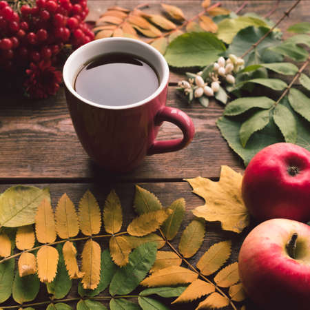Autumn harvest. Fall leaves assortment background. Hot beverage conceptの写真素材