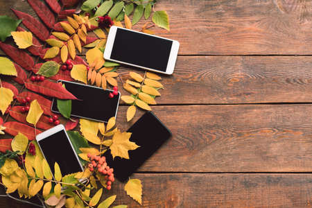 e-commerce autumn leaves wood background concept. Smartphone technology.の写真素材