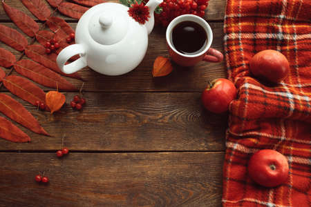 Hot drink on a cold autumn day. Warmth and coziness. Fall harvest conceptの写真素材