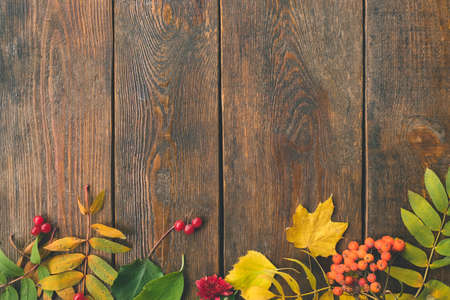 Autumn leaves on the rough wooden surface. Colourful fall background.の写真素材