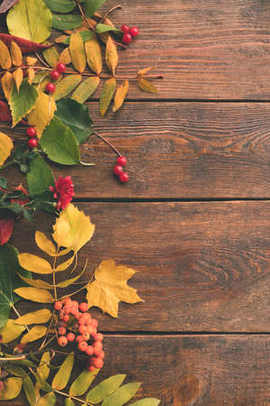 fall autumn leaves mix on rustic wooden backgroundの写真素材