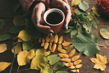 Woman get warmth with coffee or tea on the autumn background. Fall coziness. Disease preventionの写真素材