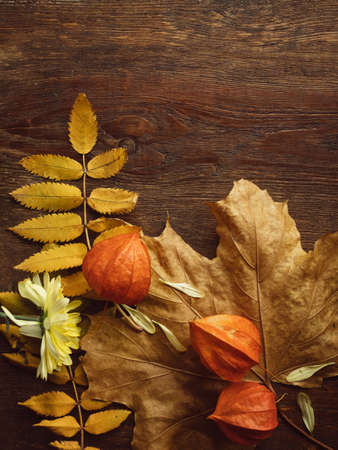 Autumn leaves on the rough wooden surface. Colourful fall background.の写真素材