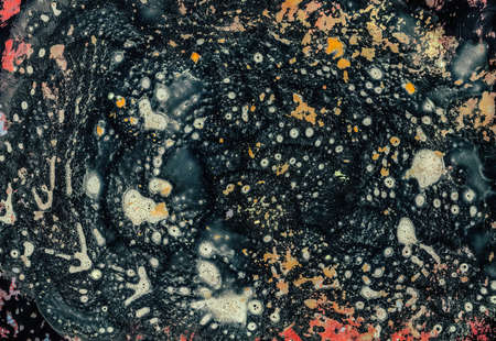 microbiology world creative art science concept. unusual embodiment point of view on microorganismsの写真素材