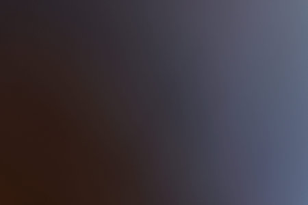 lens flare. glowing grey light. flash effect. abstract minimalistic background