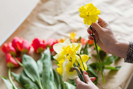 yellow narcissus in woman hands. assortment of spring flowers on craft paper background. floristry and bouquet arranging.の写真素材