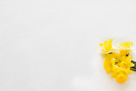 yellow narcissus on white background. flora botany and spring. beautiful flower bouquet on mothers...
