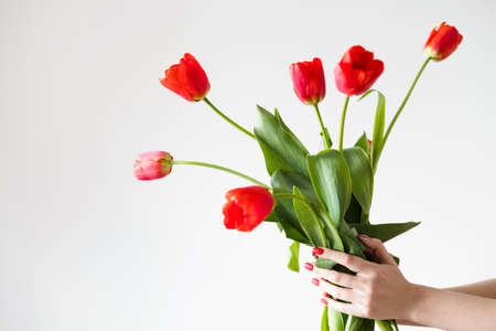 flower delivery. florist holding a red tulip bouquet. festive floral arrangementの写真素材