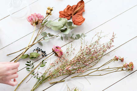 dried flowers and twigs on white background. beautiful creative room decor compositionの写真素材