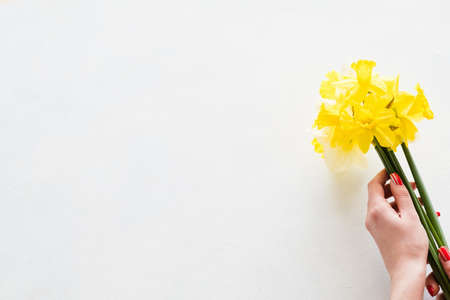 flower delivery. florist hands holding yellow narcissus bouquet on white background. copyspace conceptの写真素材