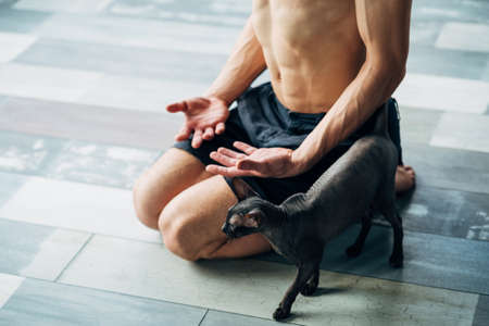 pet yoga. training with your animals can be fun. fit healthy strong yogi trying to relax or meditate with his sphynx cat.の写真素材