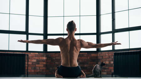 yoga for strong back muscles tonus. healthy spine and vertebras. sporty and fit lifestyle. effective gym exercises for your body.の写真素材