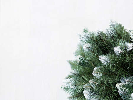 christmas holiday festive background. natural evergreen fir tree in the right corner on the white backdrop. copyspace conceptの写真素材