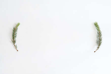 seasonal minimalistic background. fir tree branches on white background. christmas wallpaper design. simple new year natural decor. free space concept.の写真素材
