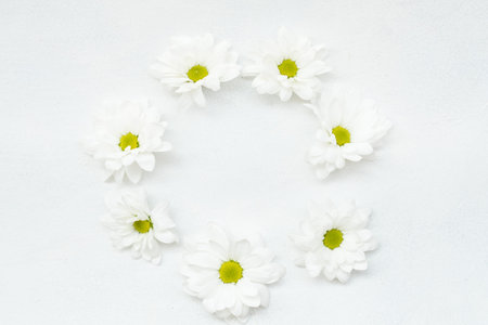 daisy wreath on white background. herbera flowers in a circle. minimalist floral decor. empty space...