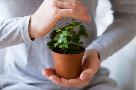 man holding plant in small flowerpot and covering it with hand. nature and environment protection.の写真素材
