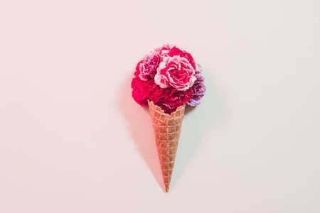 Conceptual flower gift. Ice cream cone with dark pink carnation on ivory background.の写真素材