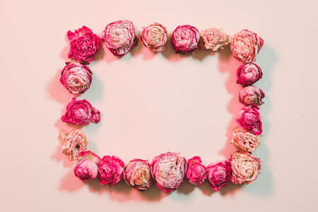 Greeting floral composition. Dried roses frame on pink background.の写真素材