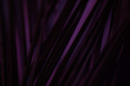 Defocused dark purple abstract background. Conceptual art design.の写真素材