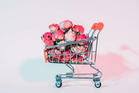 Flower shopping. Conceptual composition. Small shopping push cart full of flowers. Ivory background with red shadow.の写真素材