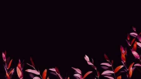 Surreal foliage pattern design. Art minimalism. Red pink stems on black background.