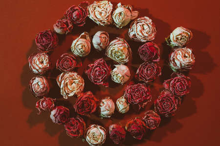 Festive flower composition. Women greeting concept. Dried rose heads arranged on red background.