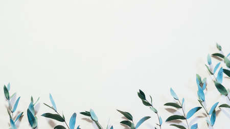 Foliage pattern design. Floristry concept. Fresh young stems on ivory background.の写真素材