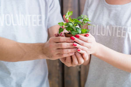 Eco friendly volunteering. Nature protection concept. Man and woman holding nurtured houseplant.の写真素材