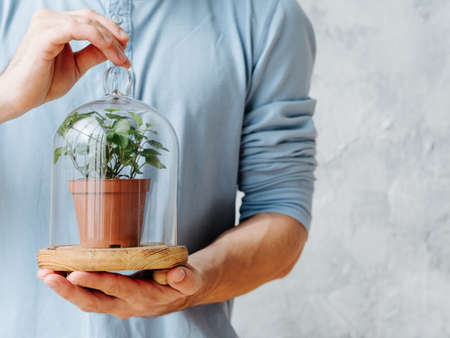 Plant care. Nature protection concept. Man holding houseplant in glass dome.の写真素材