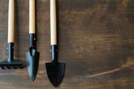 Basic garden equipment. Indoor gardening concept. Tools set on flat lay. Copy space on wooden...