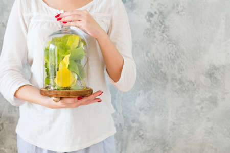 Nature protection concept. Cropped shot of woman holding tree leaves in glass display dome. Blur gray wall background. Copy space.の写真素材