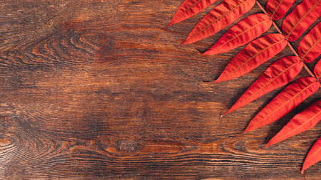 Autumn foliage. Brown wooden background with fall red leaves decoration. Copy space.の写真素材