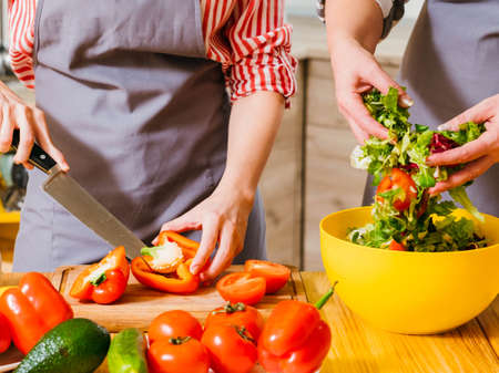 Vegetarian home recipe. Cropped shot of women cooking together, preparing salad. Lady cutting red bell pepper.の写真素材