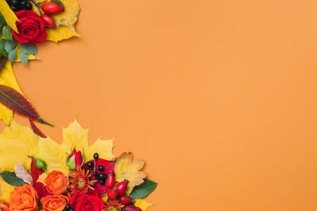 Autumn floral arrangement. Fall berries, colorful leaves and red roses on orange background. Copy space.の写真素材