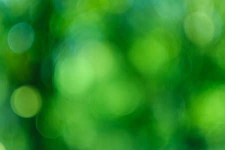 Green defocused lens flare. Colored blurred glow. Abstract tree leaves background.の写真素材
