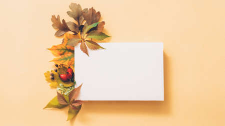 Autumn greeting card. White mockup paper sheet with faded leaves and berries arrangement on pastel peach background. Copy space.の写真素材