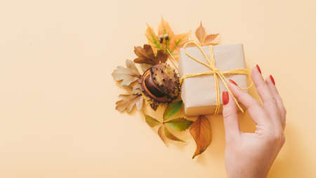 Autumn birthday present. Woman hand untying paper gift box. Fall leaves and chestnut decor on pastel peach background. Copy space.の写真素材