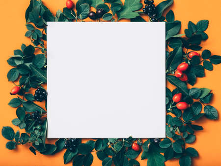 Holiday invitation. White blank paper with green floral frame of rose hip berries and leaves on...