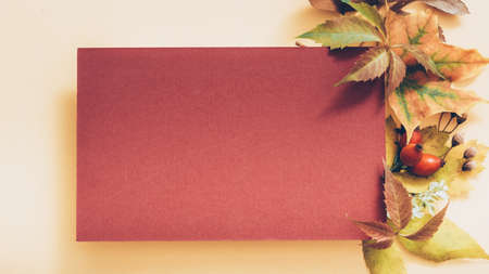 Autumn party invitation. Maroon mockup paper sheet with faded floral decoration on pastel peach background. Copy space.の写真素材