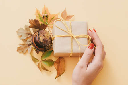 Autumn decoration. Woman hand holding paper gift box adorned with fall leaves and chestnut. Pastel peach background.の写真素材