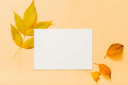 Autumn greeting card. White mockup paper sheet with foliage decoration on peach background. Copy...
