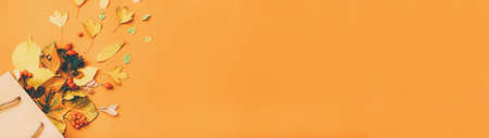 Fall season new collection. Cropped shot of yellow leaves scattered from shopping bag over orange...