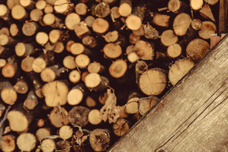 Brown timber over defocused stock of round cut wood logs. Rustic style background. Nature pattern...