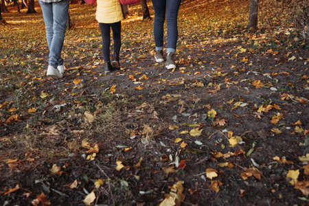 Fall family leisure. Cropped back view of parents walking with their child in nature park. Fallen leaves on ground.の写真素材