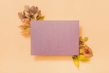 Autumn greeting card. Purple mockup paper sheet with faded floral decoration on pastel peach background. Copy space.の写真素材