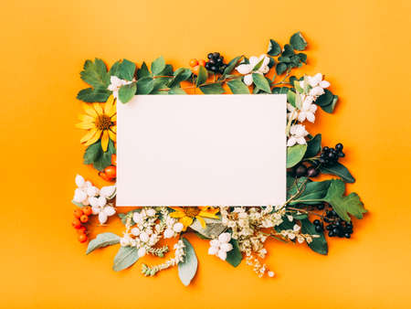 Autumn greeting card. White mockup paper sheet framed with floral arrangement. Orange background....