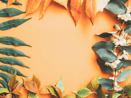Autumn floral decor. Orange, green leaves and white berries arranged in frame on peach background. Copy space.の写真素材