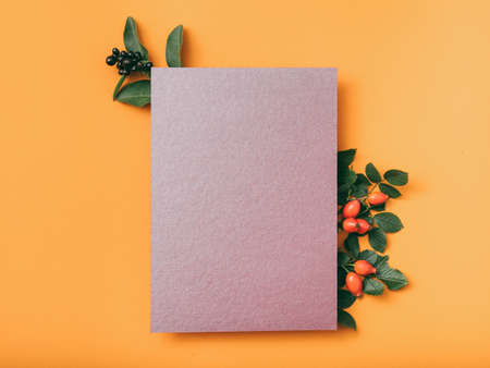 Party invitation letter. Purple mockup paper sheet with rose hip decoration on orange background....