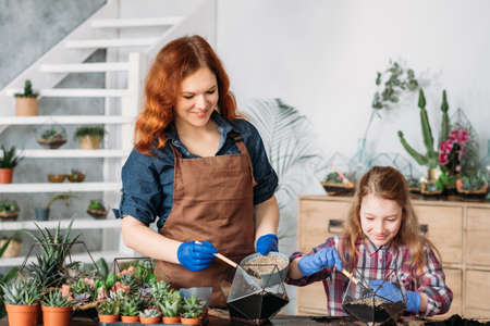 DIY florarium. Family business and hobby. Mother and daughter planting succulents in glass geometric...