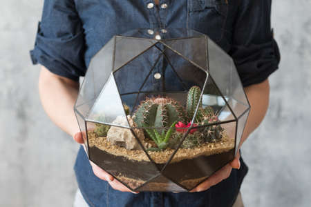 DIY florarium. Handmade natural gift delivery service. Cropped shot of woman holding glass geometric...